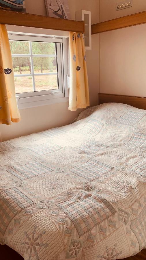 Petite Maison Dans La Prairie Cabanac-et-Villagrains 외부 사진
